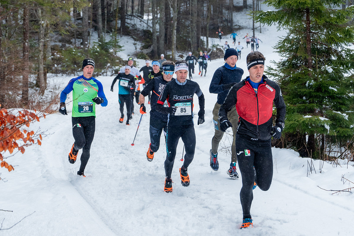 Tarvisio Winter Trail 2026